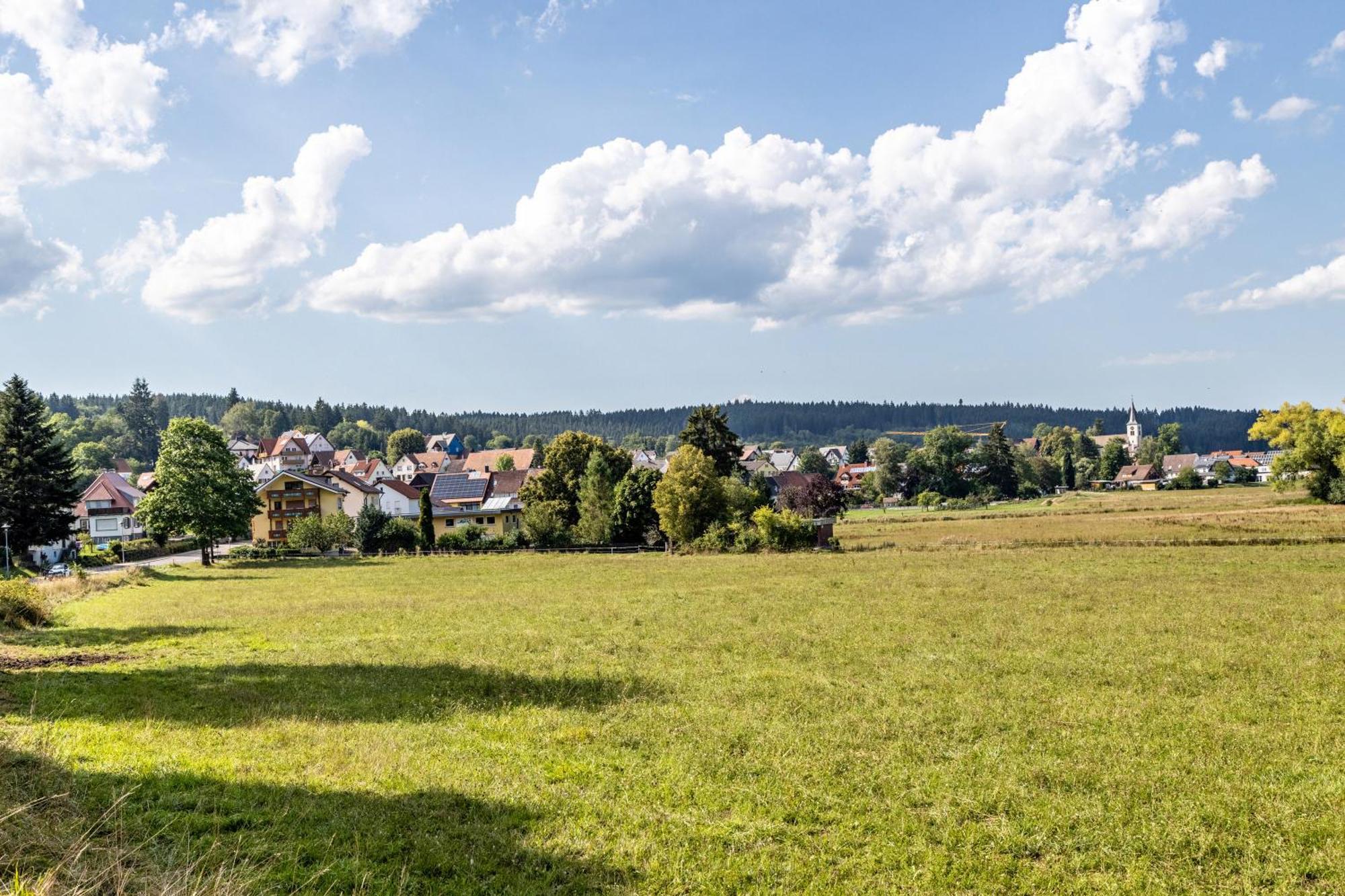 Apartament Eule Donaueschingen Zewnętrze zdjęcie